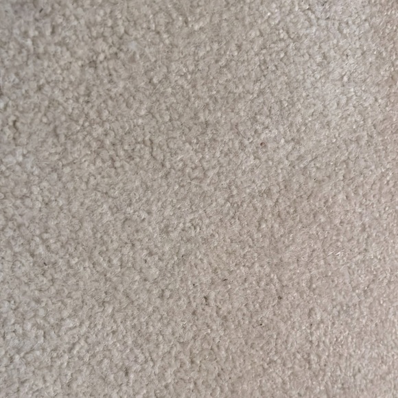 A piece of carpet from my floor - Picture 1 of 1